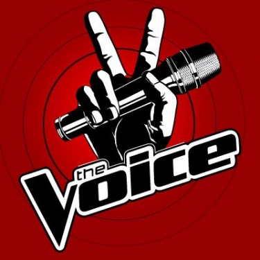 the voice-logo only