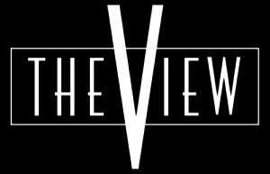 the view-logo